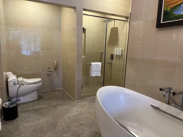 バスルーム内から全景