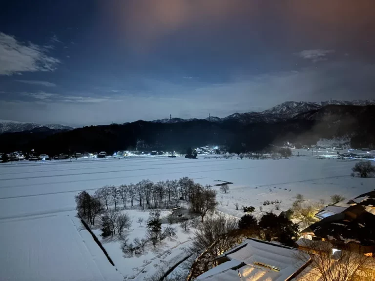 部屋からの眺望 夜(1)