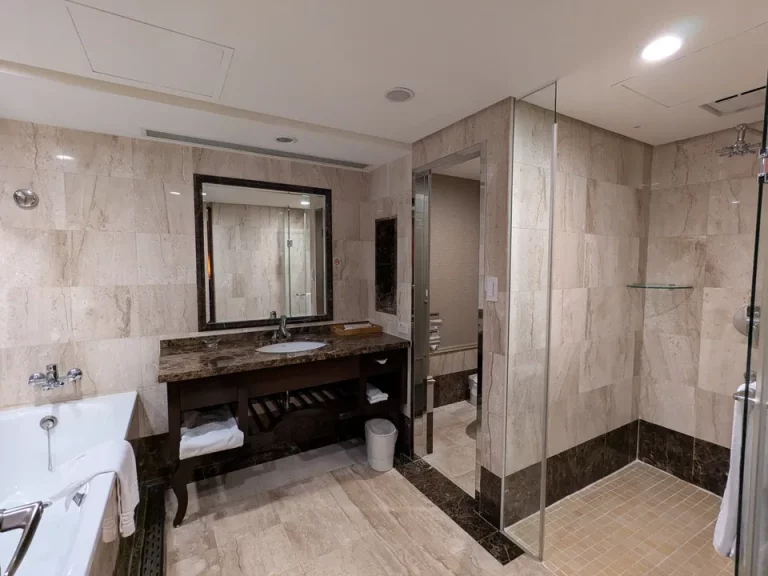 バスルーム入口から全景右側