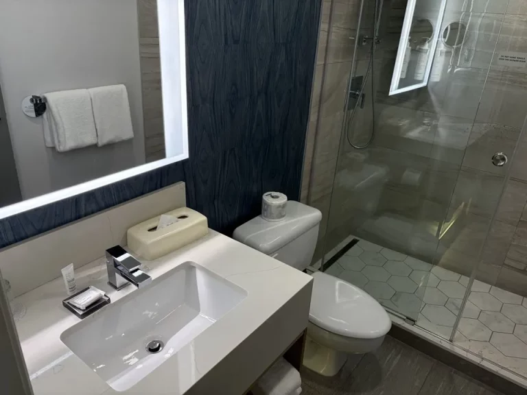 洗面台とトイレ