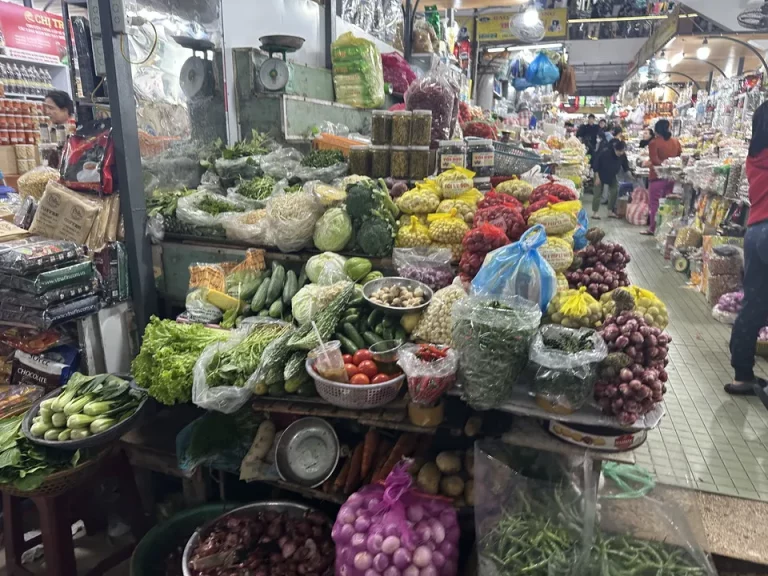 周辺のお店