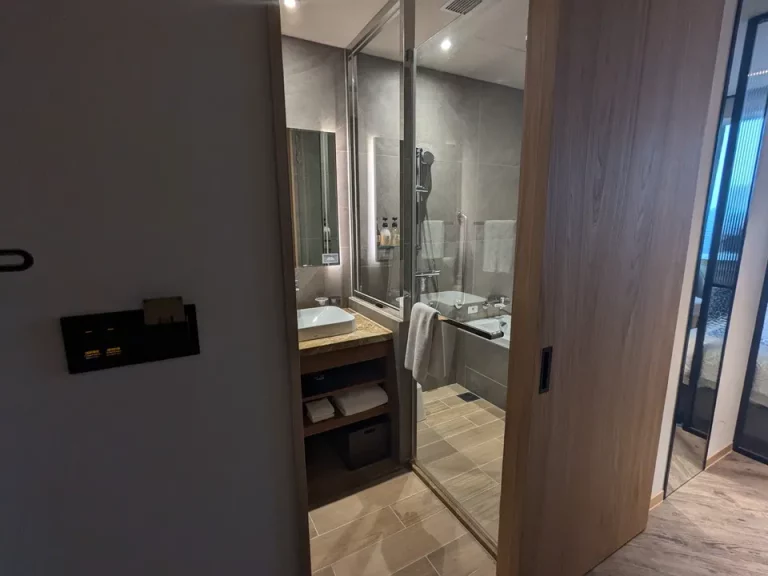 バスルーム入口から全景