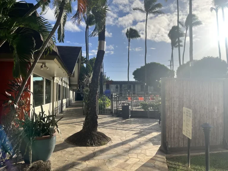 客室窓から見える景色