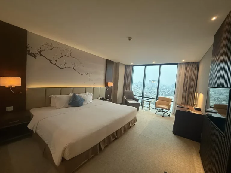 客室全体(窓側方向)