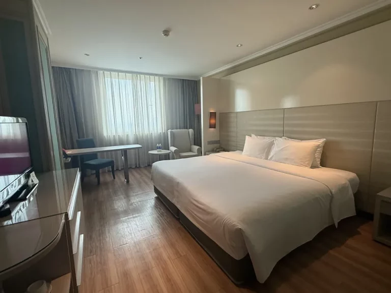 客室全体(窓側方向)