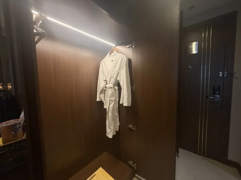 クローゼット外観(開けた状態)