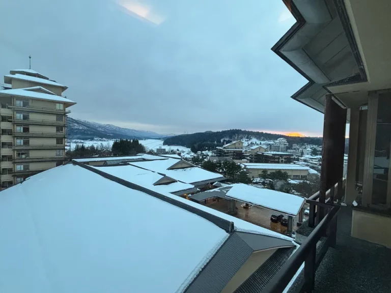 部屋からの眺望 昼間(2)