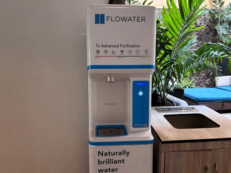 プール・ビーチ_ワイキキ マリア