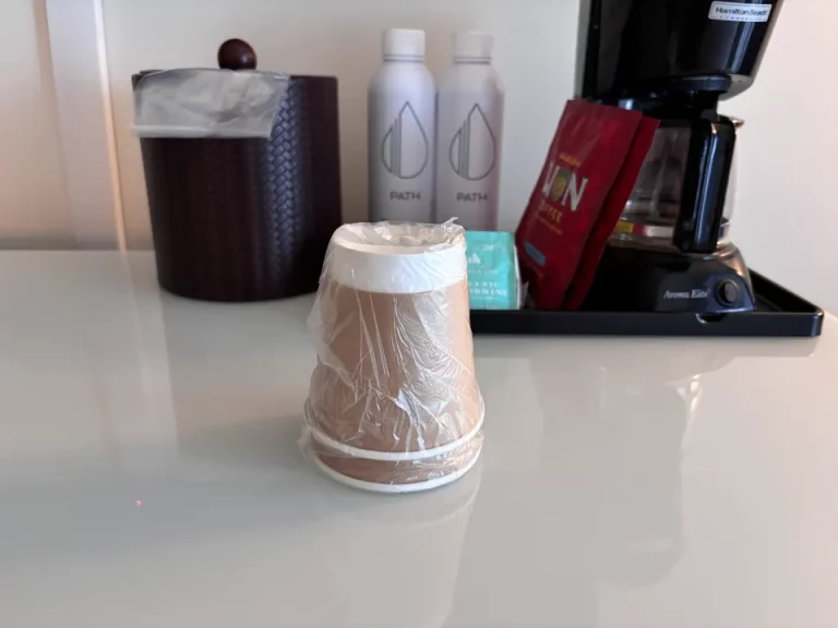 客室_ワイキキ マリア(31)