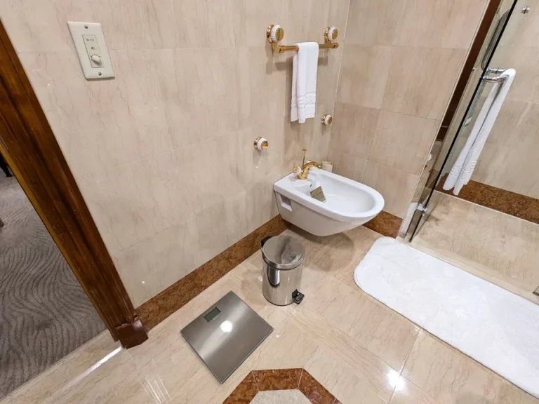 ビデとヘルスメーター