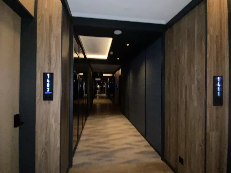 客室入口付近廊下です。