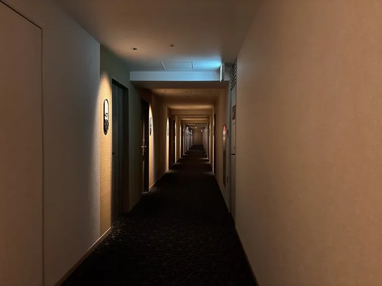 客室階廊下全体②