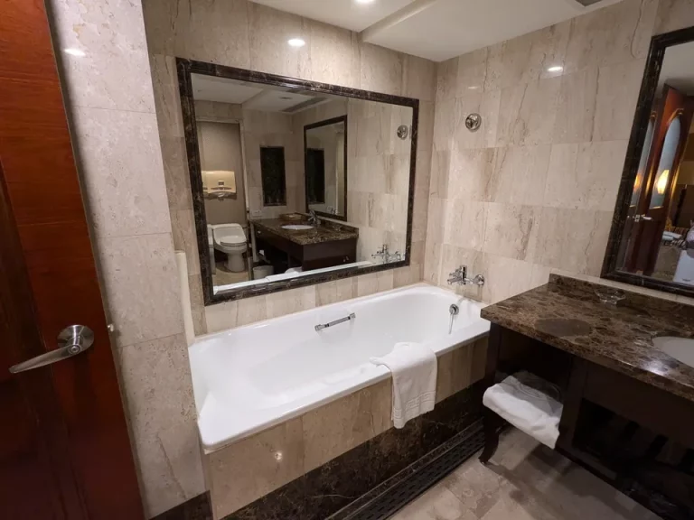 バスルーム入口から全景左側