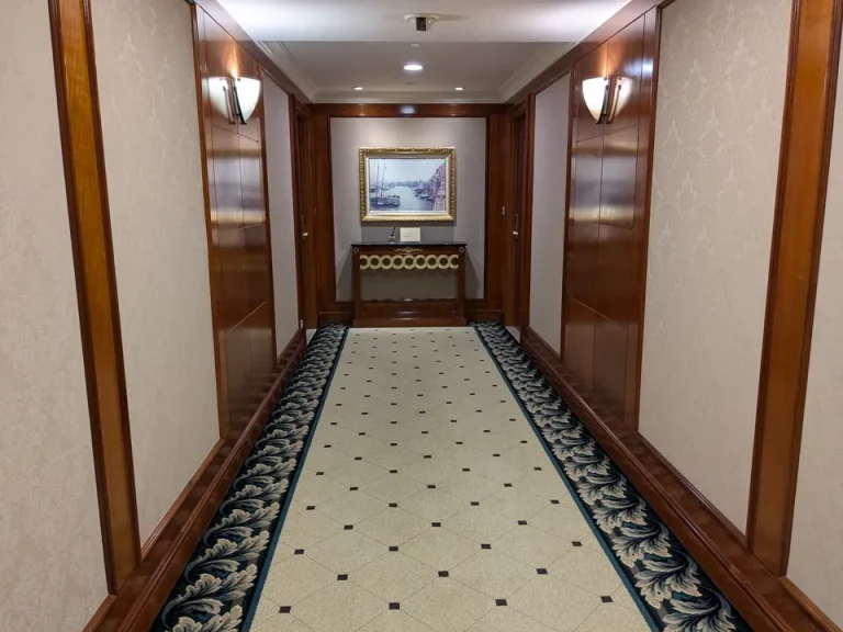 客室入口付近廊下