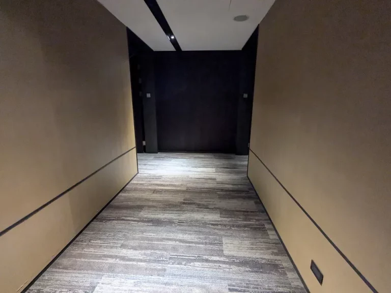 客室入口付近廊下