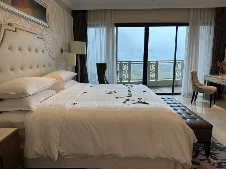 客室全体(入口から窓側)