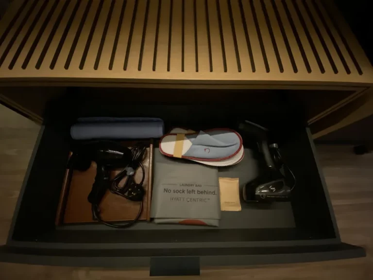 ドライヤーが格納されている、クローゼットの下の棚