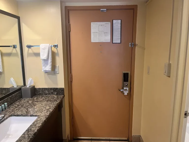 客室ドア(室内から)