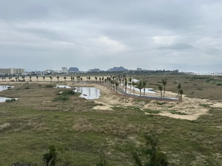 客室からの眺望