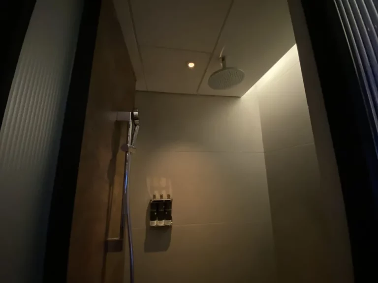 天井シャワーも選択できます。