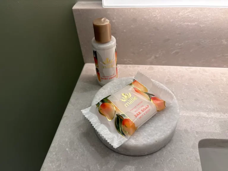 客室_マリオット バケーション クラブ、ワイキキ(57)