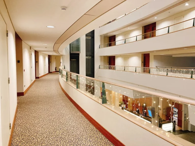 客室入り口付近廊下