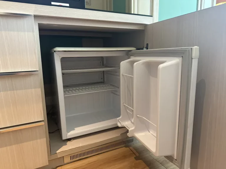 冷蔵庫(開けた状態)