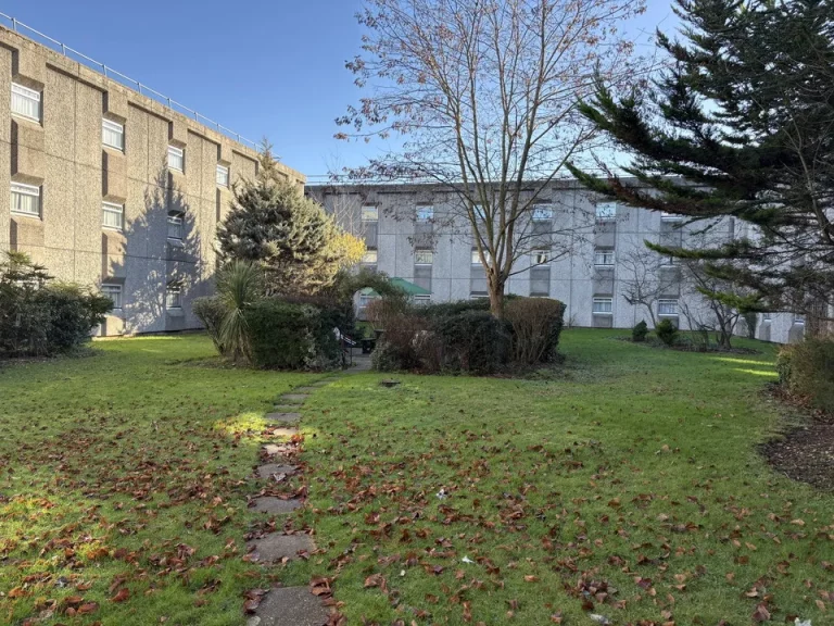 庭のような広場(1)