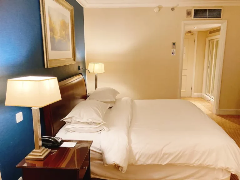 客室全体(入口方向)