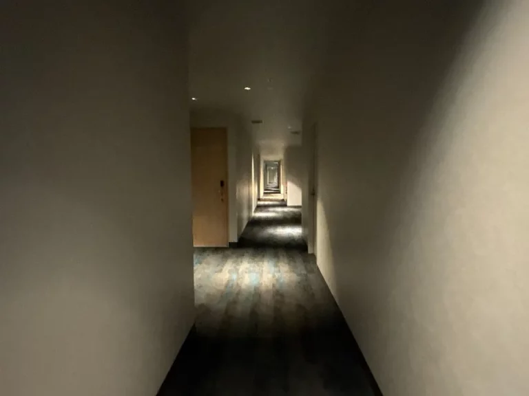 客室階廊下全体②