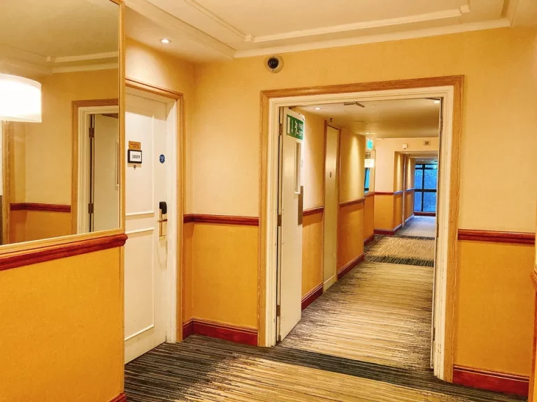 客室入口付近廊下