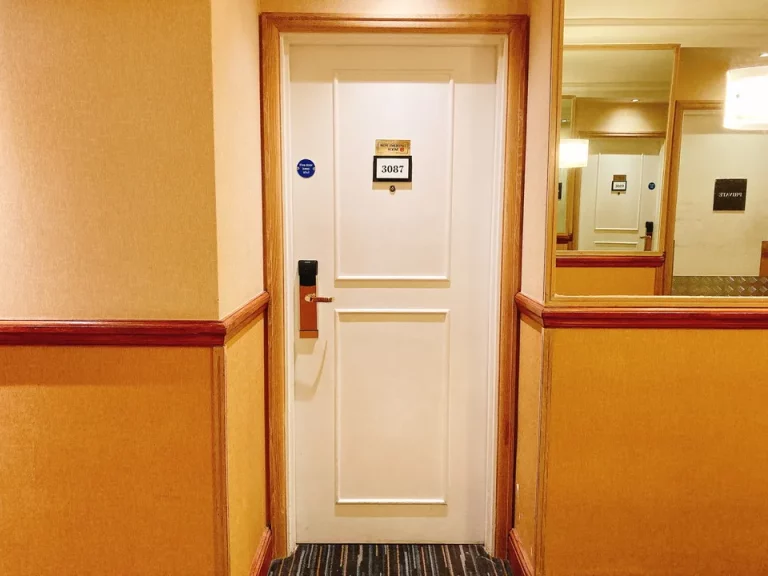 客室入口外観ドア