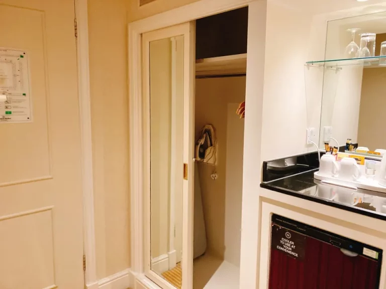 クローゼット外観(開けた状態)