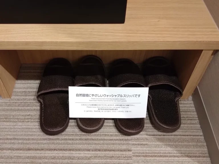 ウォッシャブルスリッパ 2 (1)