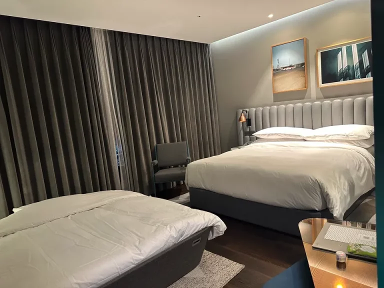 客室全体(窓側方向)