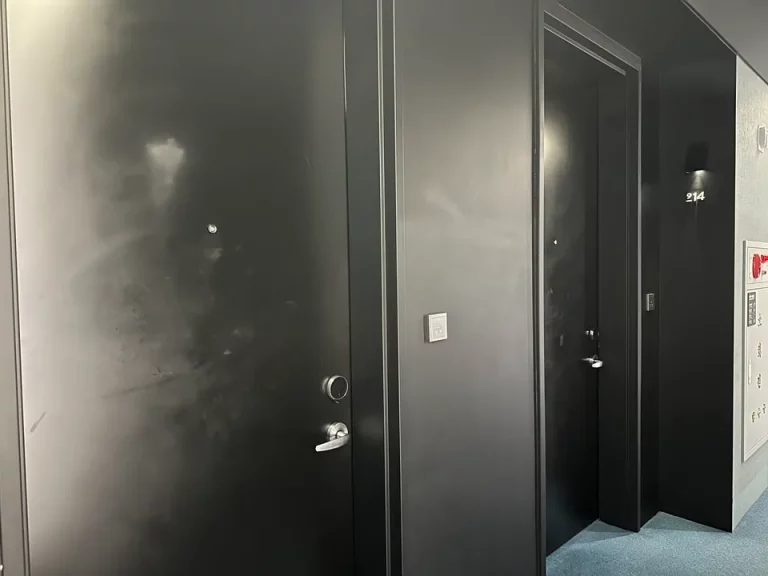 客室入口付近廊下