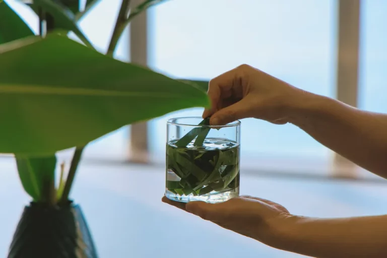 TWIN-LINE HOTEL YANBARU OKINAWA JAPAN_gettou-