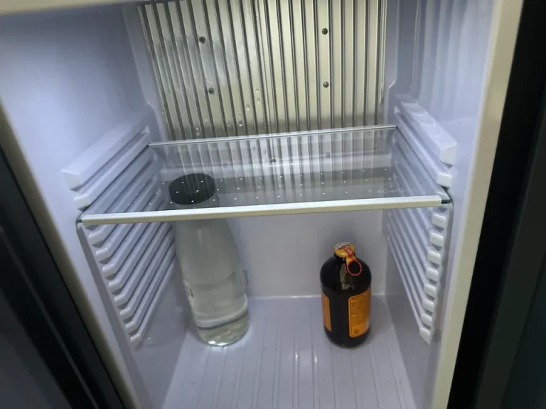 冷蔵庫(開けた状態)