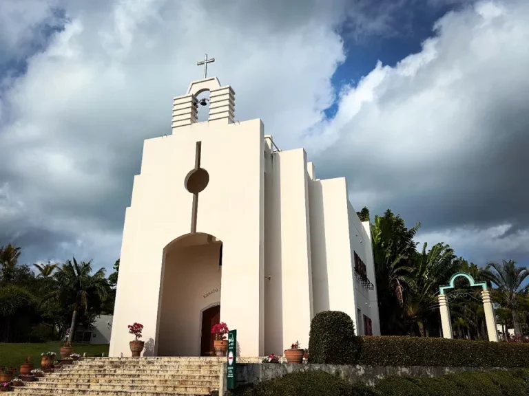 7D4DD22E-9811-4C6B-B5CA-0E67ED054D36