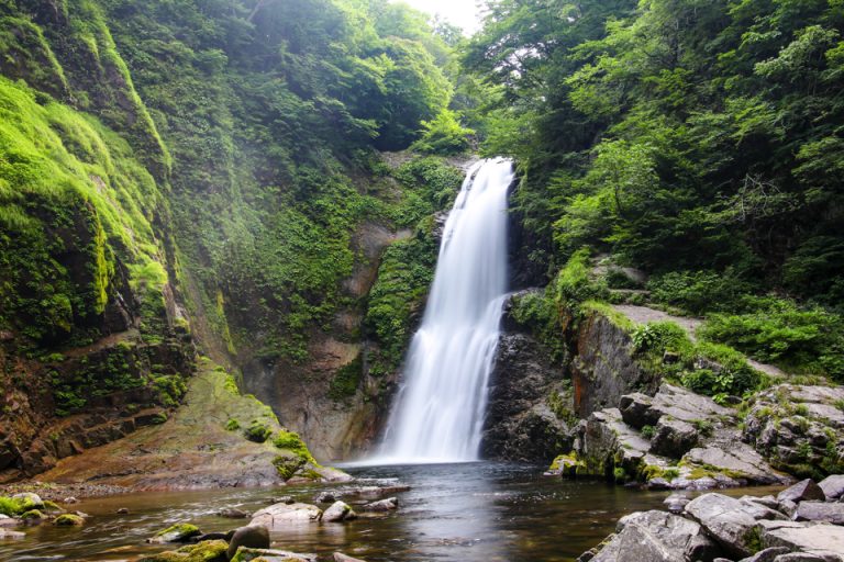 AdobeStock_273135825