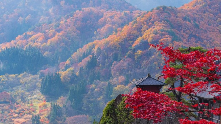 紅葉 山寺