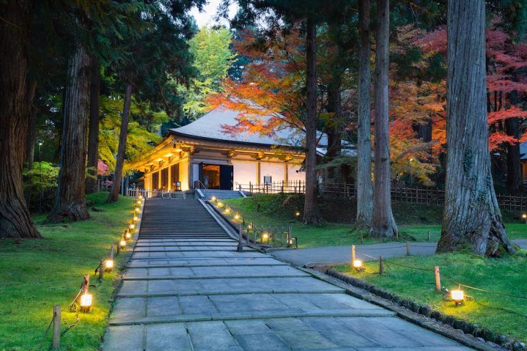日本のお寺 中尊寺ライトアップされた紅葉の金色堂覆堂