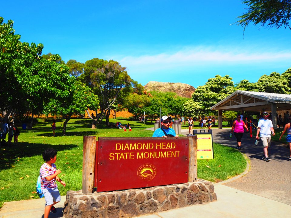 IMG_0621.jpg (42) copy