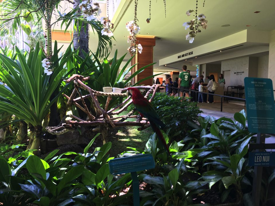 IMG_0622.jpg (40) copy