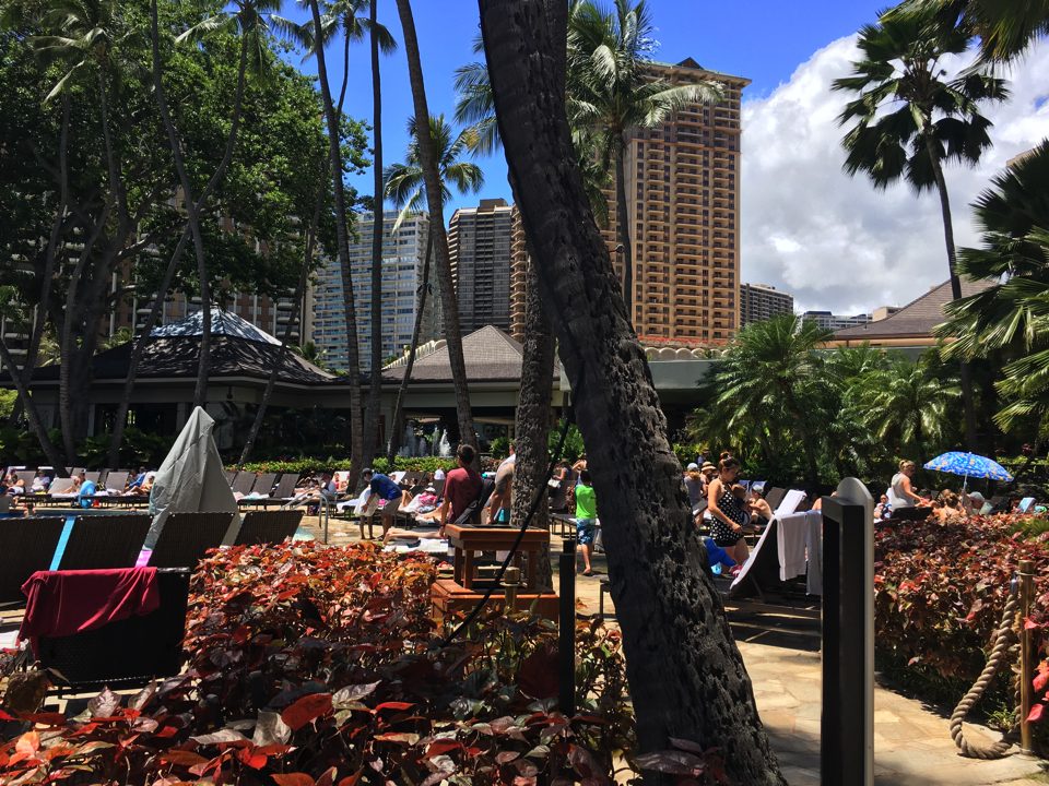 IMG_0622.jpg (42) copy