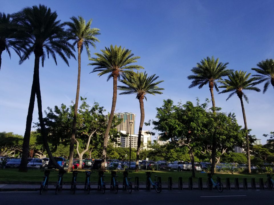 IMG_0628 – 2019-06-28T201049.236 copy