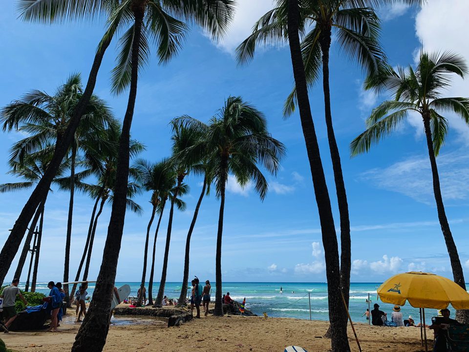 IMG_0629 (50) copy copy