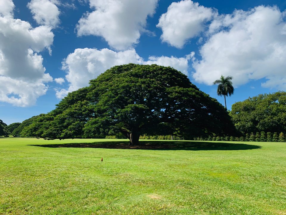 IMG_0629 (66) copy copy