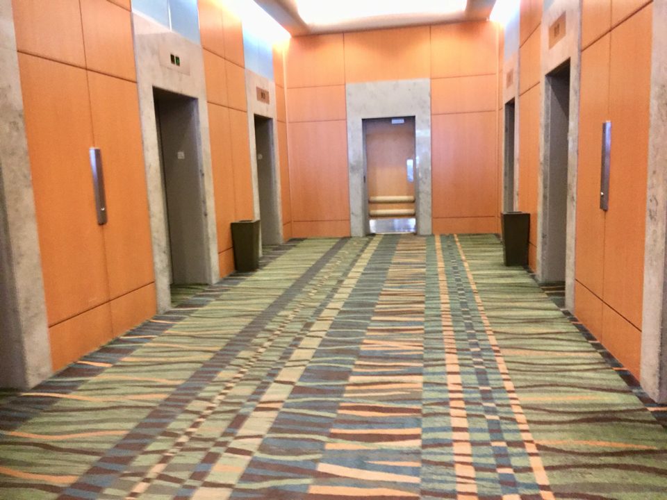 IMG_0630.jpg (12) copy