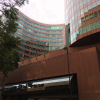 Detailed review & photos “New World Millennium Hong Kong Hotel”